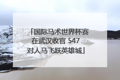 国际马术世界杯赛在武汉收官 547对人马飞跃英雄城