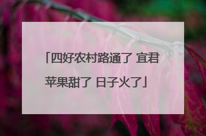 四好农村路通了 宜君苹果甜了 日子火了