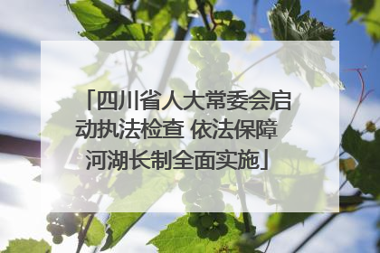 四川省人大常委会启动执法检查 依法保障河湖长制全面实施