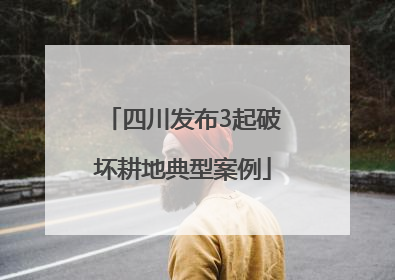 四川发布3起破坏耕地典型案例