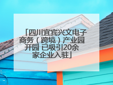 四川宜宾兴文电子商务（跨境）产业园开园 已吸引20余家企业入驻