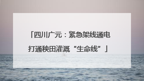 四川广元：紧急架线通电 打通秧田灌溉“生命线”