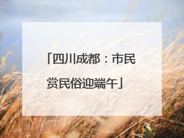 四川成都：市民赏民俗迎端午