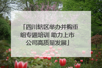 四川辖区举办并购重组专题培训 助力上市公司高质量发展