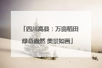 四川高县：万亩稻田绿意盎然 美景如画