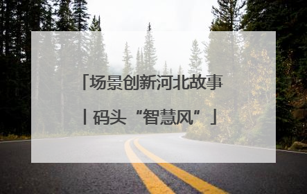 场景创新河北故事丨码头“智慧风”