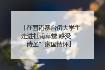 在蓉港澳台侨大学生走进杜甫草堂 感受“诗圣”家国情怀