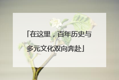 在这里，百年历史与多元文化双向奔赴