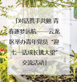 对话携手共勉 青春逐梦远航——云龙区举办青年党员“迎七一话成长挑大梁”交流活动