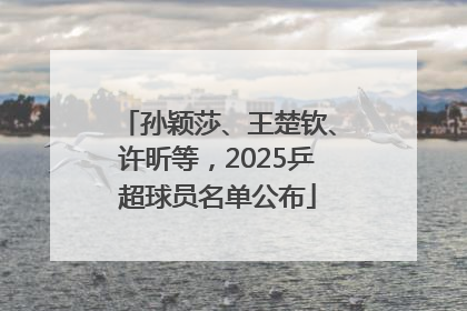 孙颖莎、王楚钦、许昕等，2025乒超球员名单公布