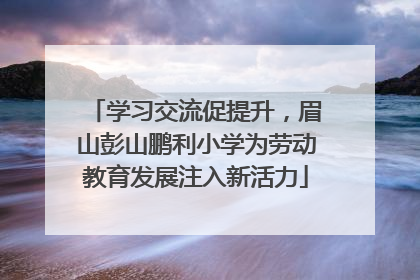 学习交流促提升，眉山彭山鹏利小学为劳动教育发展注入新活力