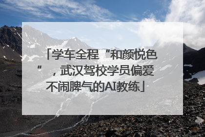 学车全程“和颜悦色”，武汉驾校学员偏爱不闹脾气的AI教练