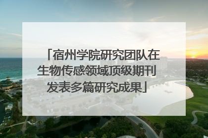 宿州学院研究团队在生物传感领域顶级期刊发表多篇研究成果