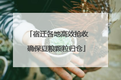 宿迁各地高效抢收 确保夏粮颗粒归仓