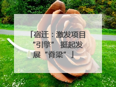 宿迁：激发项目“引擎” 挺起发展“脊梁”