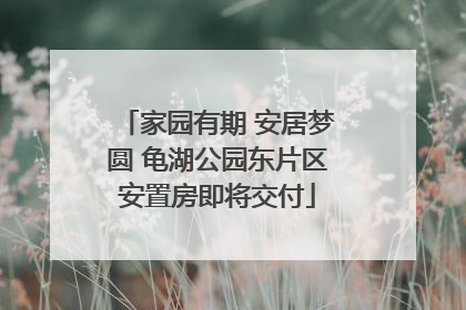 家园有期 安居梦圆 龟湖公园东片区安置房即将交付