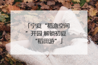 宁夏“稻渔空间”开园 解锁初夏“稻田游”