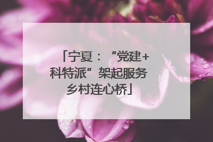 宁夏：“党建+科特派”架起服务乡村连心桥