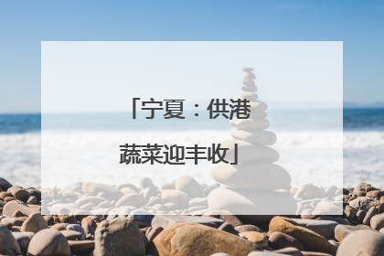 宁夏：供港蔬菜迎丰收