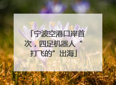 宁波空港口岸首次，四足机器人“打飞的”出海