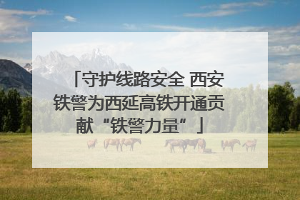 守护线路安全 西安铁警为西延高铁开通贡献“铁警力量”