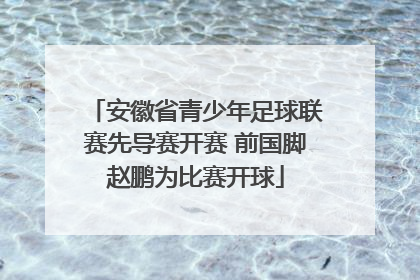 安徽省青少年足球联赛先导赛开赛 前国脚赵鹏为比赛开球