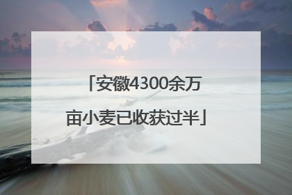 安徽4300余万亩小麦已收获过半