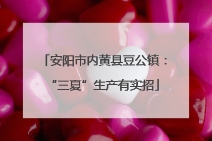 安阳市内黄县豆公镇：“三夏”生产有实招