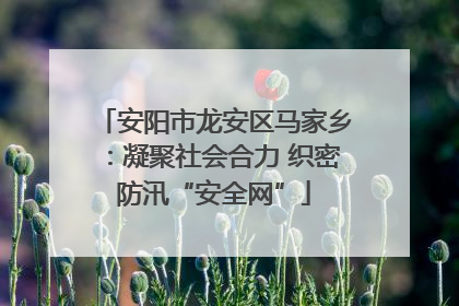 安阳市龙安区马家乡：凝聚社会合力 织密防汛“安全网”