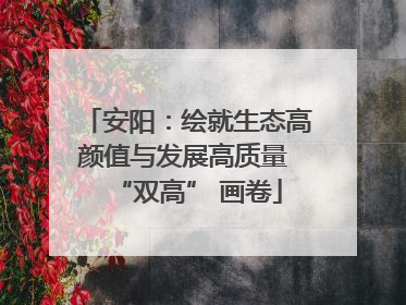 安阳：绘就生态高颜值与发展高质量 “双高” 画卷