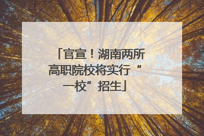 官宣！湖南两所高职院校将实行“一校”招生