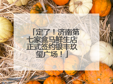 定了！济南第七家盒马鲜生店正式签约银丰玖玺广场！