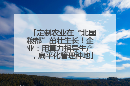 定制农业在“北国粮都”茁壮生长！企业：用算力指导生产，扁平化管理种地