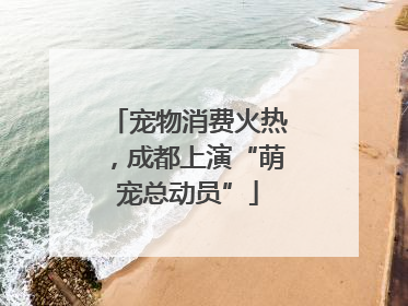 宠物消费火热，成都上演“萌宠总动员”