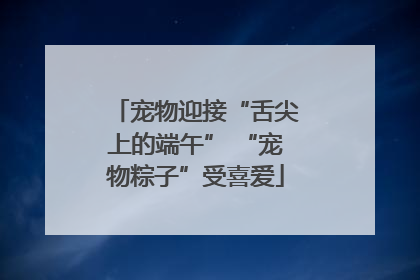 宠物迎接“舌尖上的端午” “宠物粽子”受喜爱