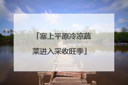 塞上平原冷凉蔬菜进入采收旺季