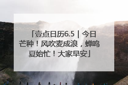 壹点日历6.5｜今日芒种！风吹麦成浪，蝉鸣夏始忙！大家早安