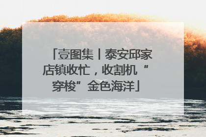 壹图集丨泰安邱家店镇收忙，收割机“穿梭”金色海洋