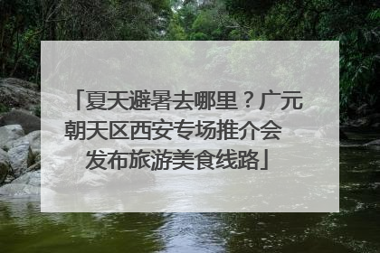 夏天避暑去哪里？广元朝天区西安专场推介会 发布旅游美食线路