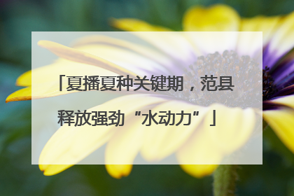 夏播夏种关键期，范县释放强劲“水动力”