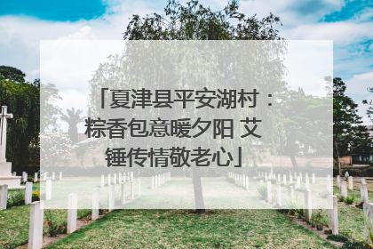 夏津县平安湖村：粽香包意暖夕阳 艾锤传情敬老心