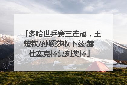 多哈世乒赛三连冠，王楚钦/孙颖莎收下兹·赫杜塞克杯复刻奖杯