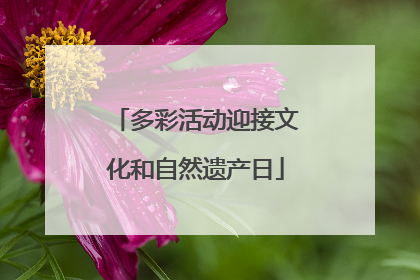 多彩活动迎接文化和自然遗产日