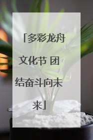 多彩龙舟文化节 团结奋斗向未来