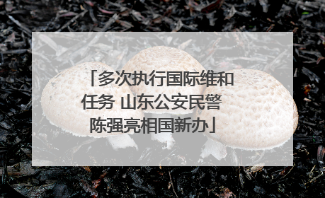 多次执行国际维和任务 山东公安民警陈强亮相国新办