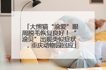 大熊猫“渝爱”眼周脱毛恢复良好！“渝贝”出现类似症状，重庆动物园回应