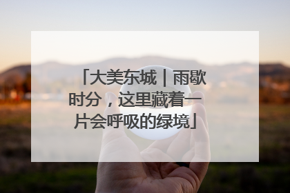 大美东城｜雨歇时分，这里藏着一片会呼吸的绿境