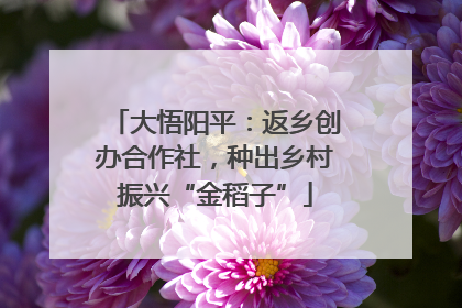 大悟阳平：返乡创办合作社，种出乡村振兴“金稻子”