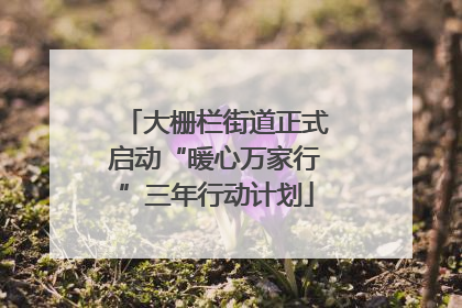 大栅栏街道正式启动“暖心万家行”三年行动计划