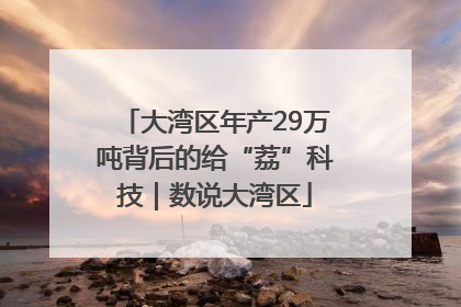大湾区年产29万吨背后的给“荔”科技｜数说大湾区